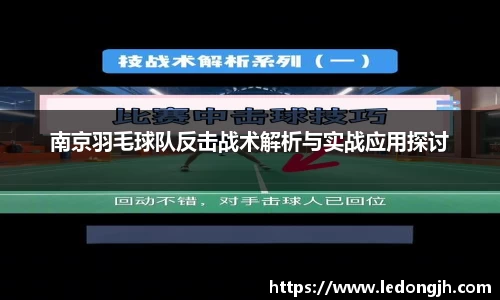 南京羽毛球队反击战术解析与实战应用探讨